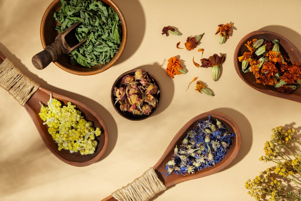 wooden-spoons-with-plants-flat-lay-min
